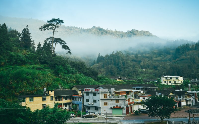 Firefly InnOver view