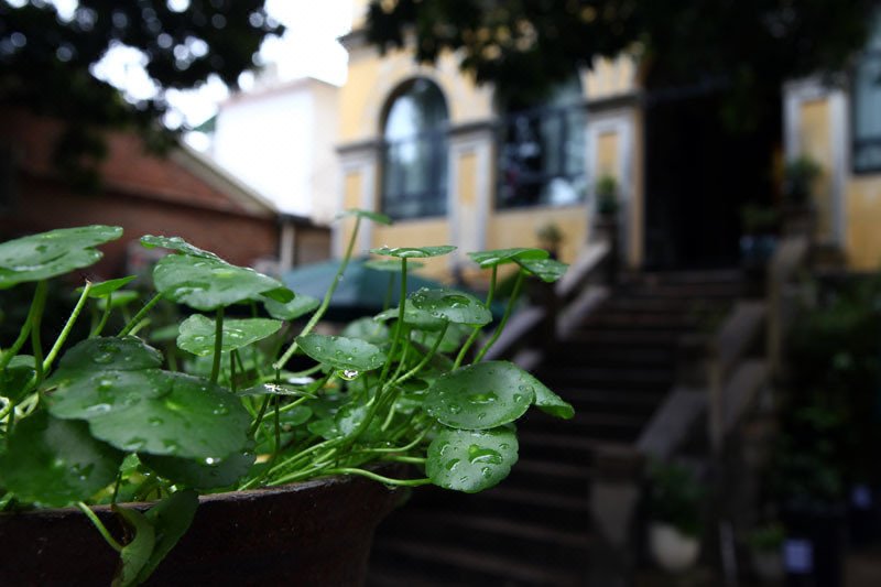 Tangtao Yard Hostel (Xiamen Gulangyu Fuxing Castle) Over view