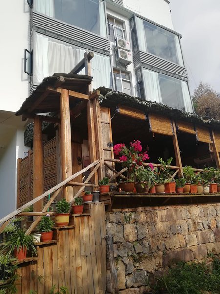 starry countryside Over view