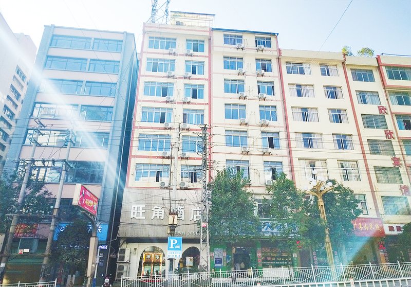 Wangjiao Hotel (Zhenxiong Women and Children's Hospital) Over view