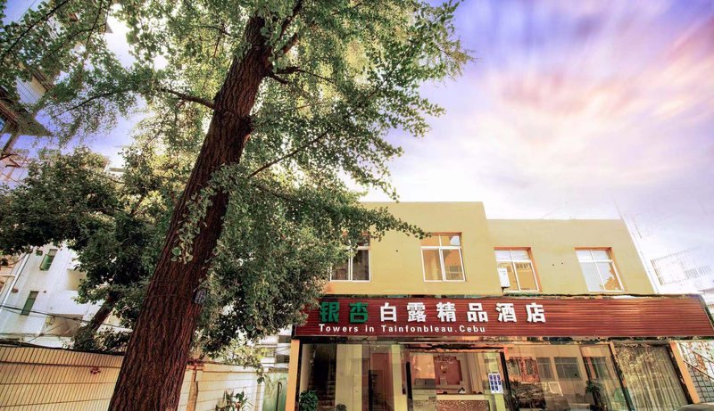 Towers inTainfonbleau. Cebu Over view