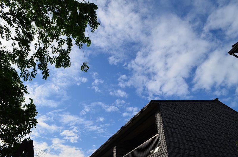 Wangshan Country House Over view