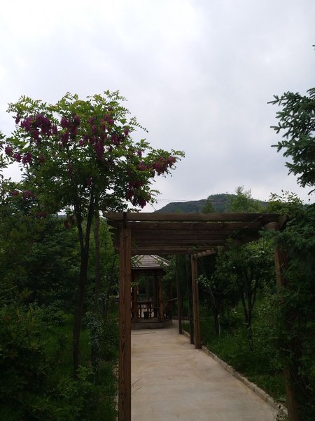 Daxia River Ecological Park Hotel Over view