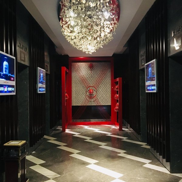 Sunny  international apartment Over view