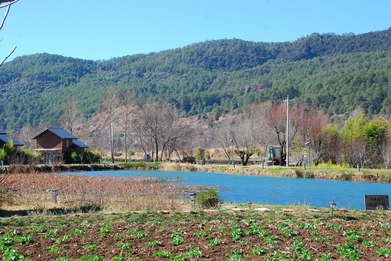 Lijiang Puji farm Over view