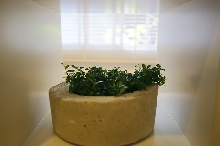 Taipei JingMei Hostel 客房