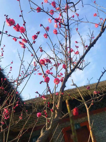 Guposhan Senlin Holiday Hotel Over view