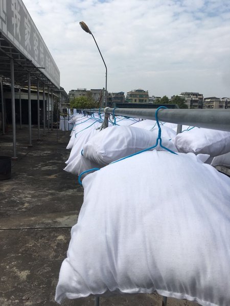 Home Inn (Chaozhou Kaiyuan) Over view