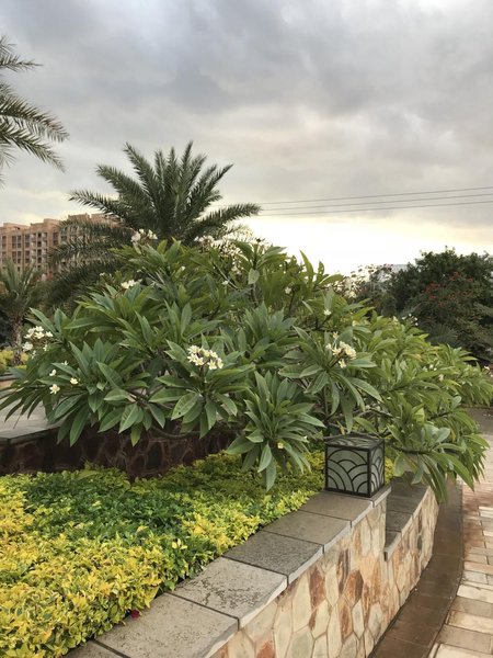 元谋大酒店预订_元谋大酒店价格、地址、电话