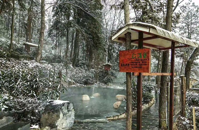 Taohuatanpan Forest Hot Spring ResortOver view