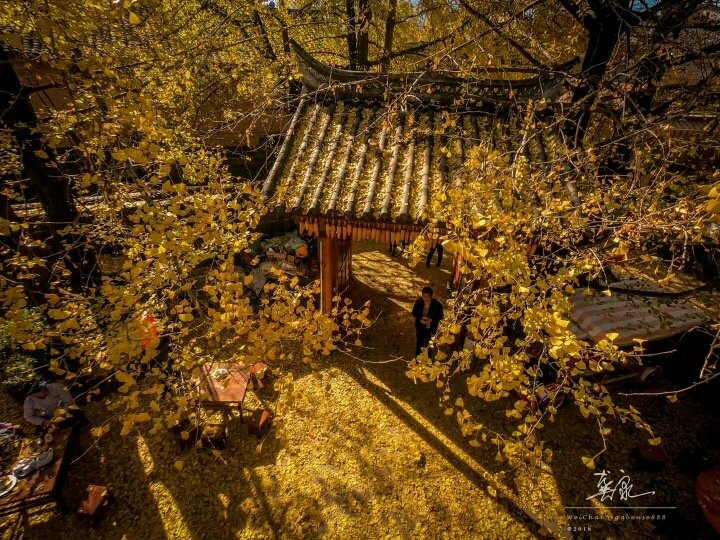 Tengchong Shuangle Farm StayOver view