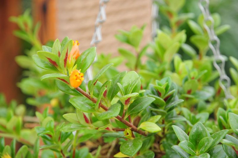 Zizai Leisure Hotel Over view