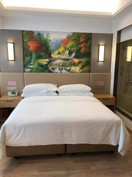 Yangzhou Dongguan Street Ancient Canal Hotel Guest Room