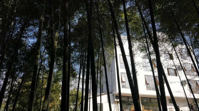 Popo Holiday Courtyard Nanshan Bamboo SeaOver view