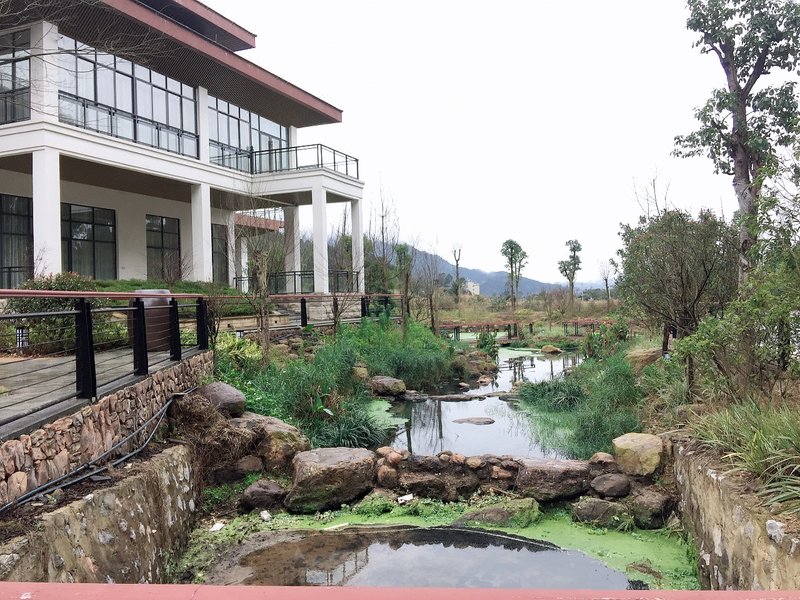 Nanshan Chayuan Hotel Over view