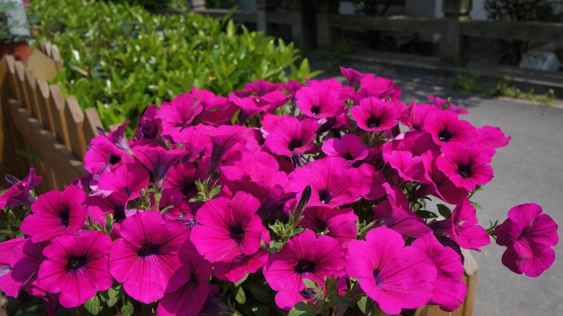 Lingyin Tangchao Hostel HangzhouGuest Room