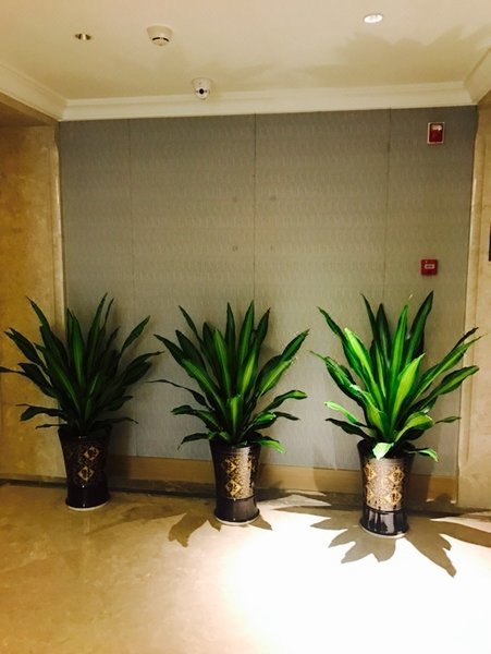 崇左凯玄国际大酒店