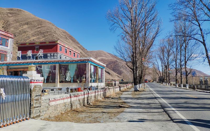 Elsa Hotel Over view