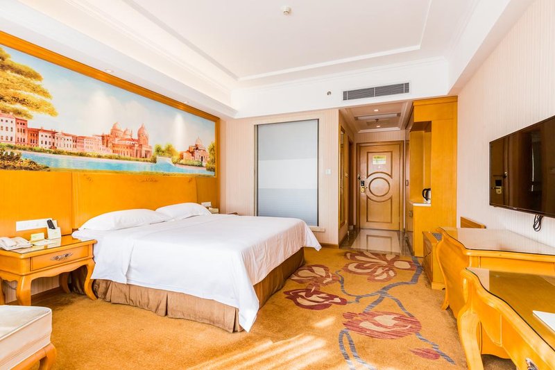 Vienna Hotel (Foshan Qiandeng Lake Metro Station) Guest Room