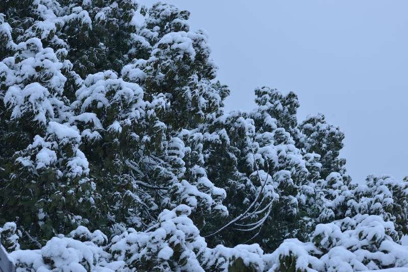 Rock Wood Cozy House Over view