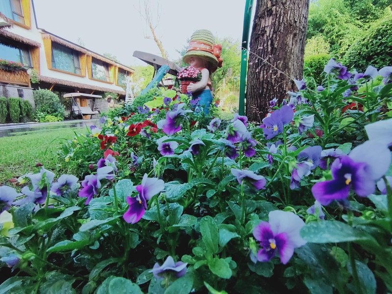 Xiaoyin Suyan HostelHotel public area