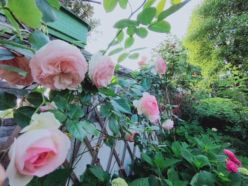 Xiaoyin Suyan HostelHotel public area