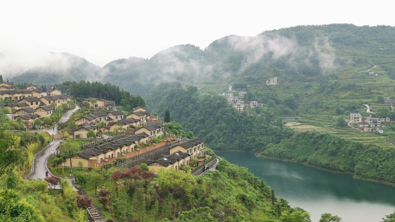 Residents of Phoenix Bamboo Mountain Township Over view