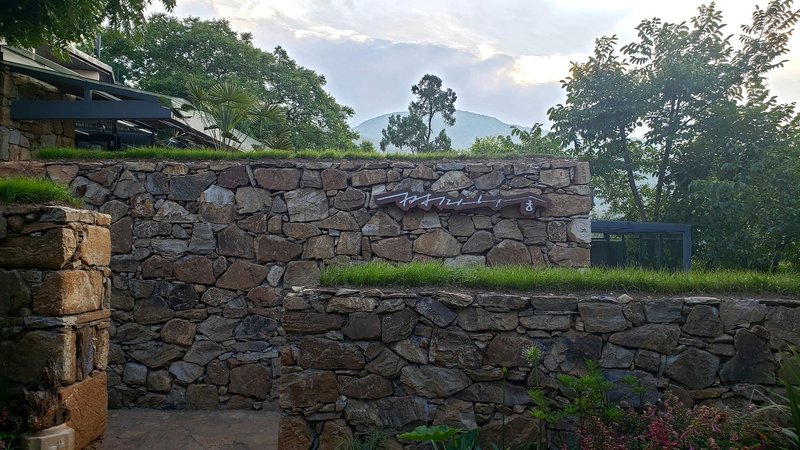 trees' treats Over view