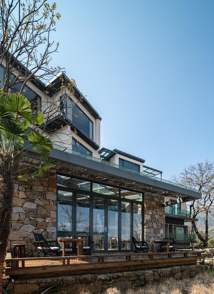 trees' treats Over view