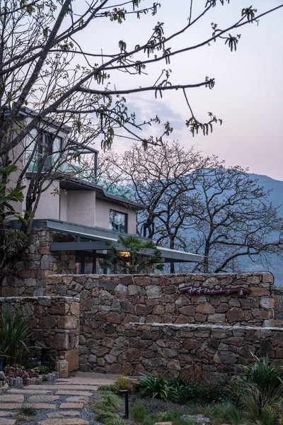 trees' treats Over view