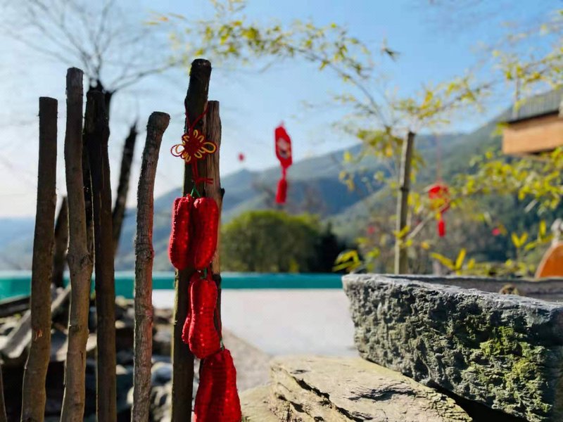 Dreamlife HomestayOver view