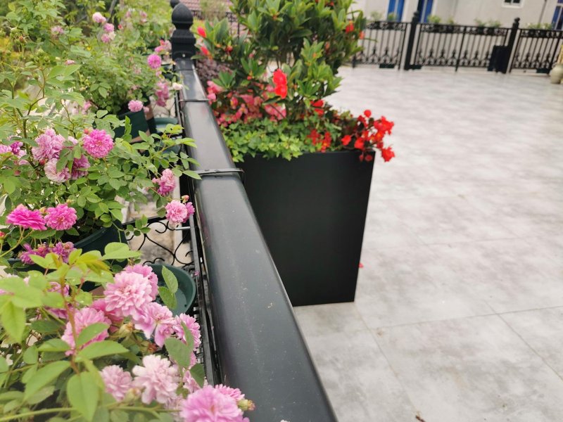 Shanghai Cunshangchunsu HomestayOver view