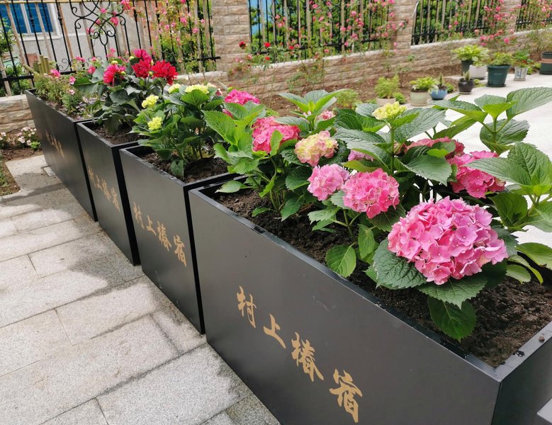 Shanghai Cunshangchunsu HomestayOver view