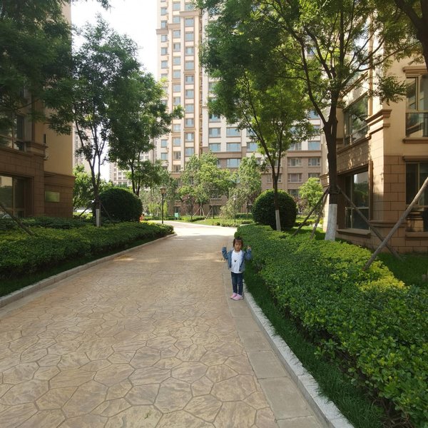 Seaview apartment Over view