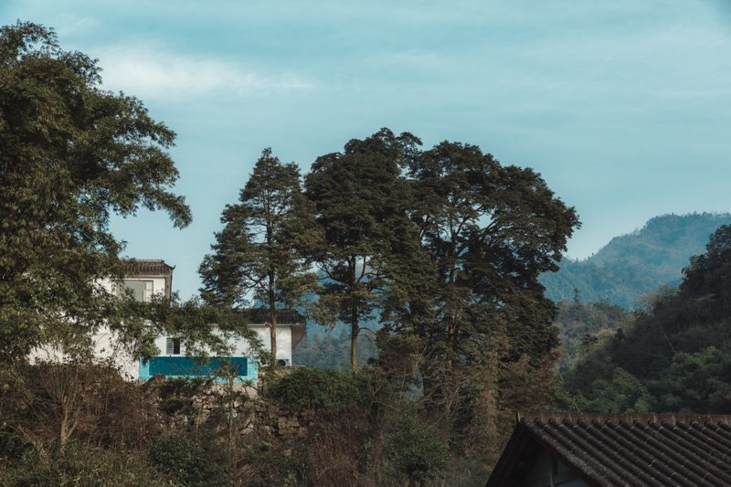 Mount Emei Hetang Nanxi Hotel Over view