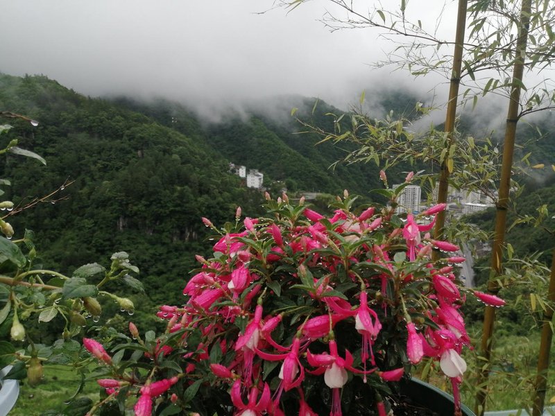 Shennongjia Xinfa HotelOver view