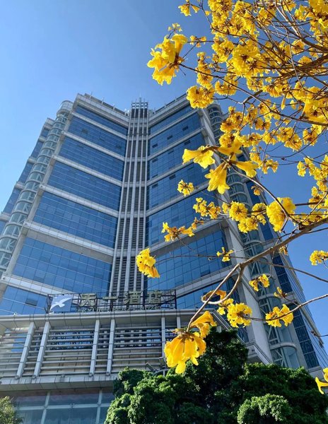 Skyline Plaza Hotel GuangzhouOver view