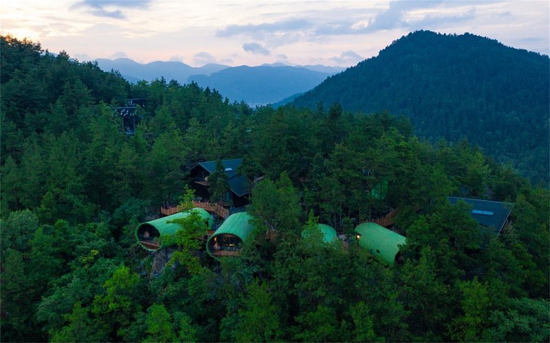 Youyang Taohuayuan Forest Hotel Over view