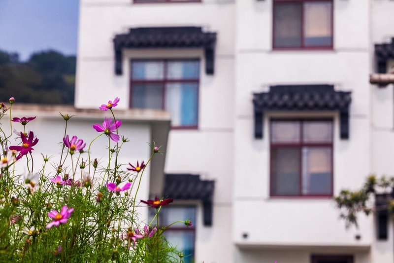 Yinshan Pinhu Homestay Over view