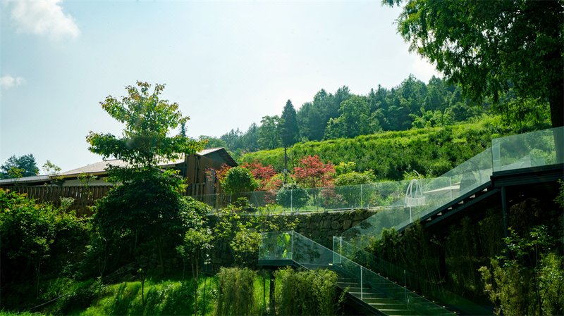 Starry Ranch Wild Luxury Homestay Over view