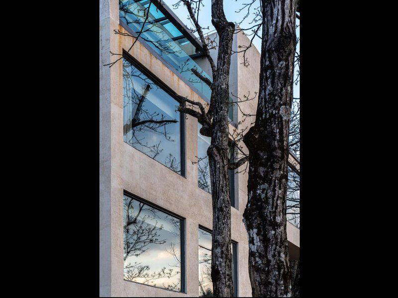 trees' treats Over view