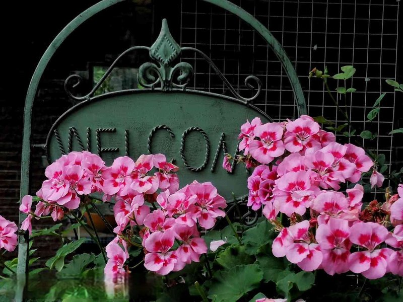 Sofia Garden Homestay Over view