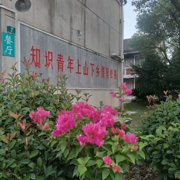 Zhiqing Tribe Hotel (Shanghai Bay National Forest Park Branch) Over view