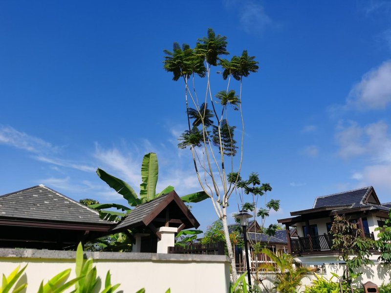 Fengqishu Rainforest Villa Over view