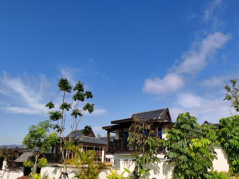 Fengqishu Rainforest Villa Over view