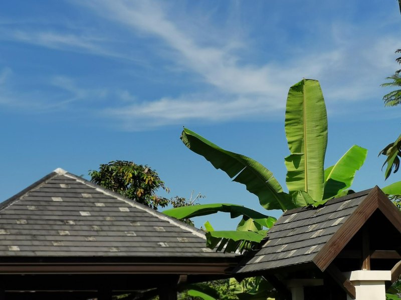 Fengqishu Rainforest Villa Over view