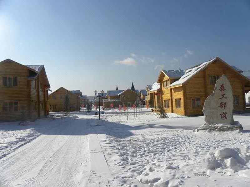 Yabuli Skiing House Villa Over view