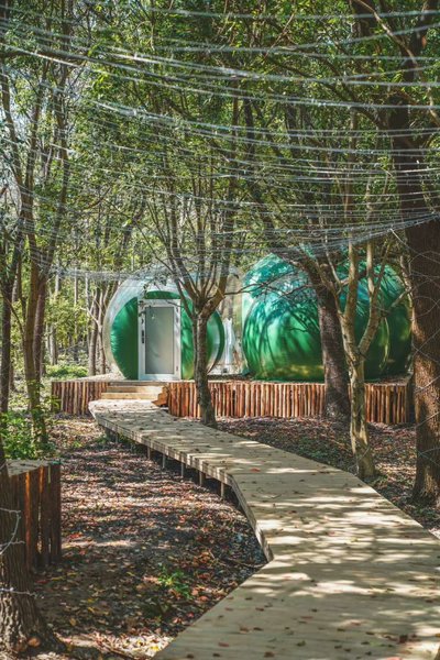 Shanghai Space forest Fairy Island B & BOver view