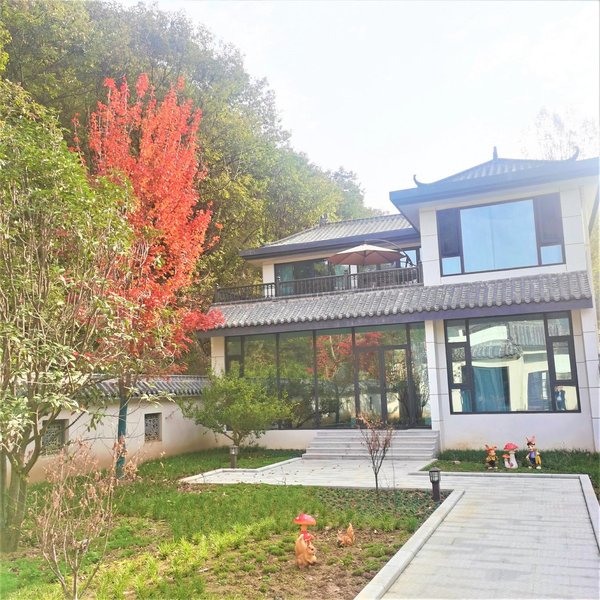 Yingying Mountain House B&B Over view