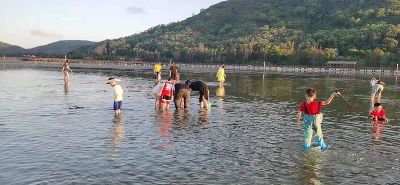 Tanka Sea Hostel(Lingshui South-Bay Monkey Island 休闲